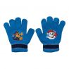 Bonnet gant snood Paw Patrol