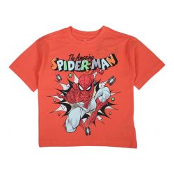 T-shirt manches courtes Garçon Spiderman
