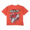 T-shirt manches courtes Garçon Spiderman