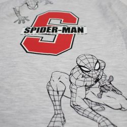 T-shirt manches courtes Garçon Spiderman