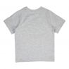 T-shirt manches courtes Garçon Spiderman