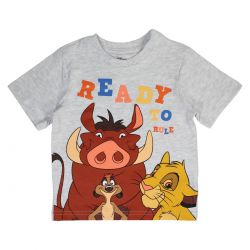 Ensemble Garçon Le Roi Lion 