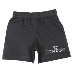 Ensemble Garçon Le Roi Lion 