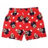 Ensemble Fille Minnie