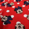 Ensemble Fille Minnie