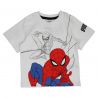 Ensemble Garçon Spiderman