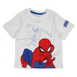 Ensemble Garçon Spiderman