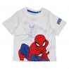 Ensemble Garçon Spiderman