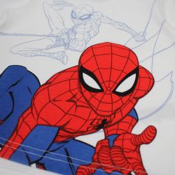 Ensemble Garçon Spiderman