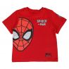 Ensemble Garçon Spiderman
