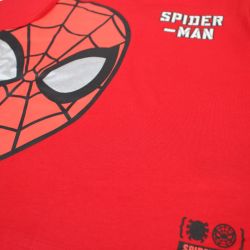 Ensemble Garçon Spiderman