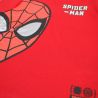Ensemble Garçon Spiderman