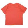 T-shirt manches courtes Garçon Le Roi Lion