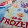 Poncho polyesterLa Reine des neiges