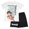 Ensemble Garçon Dragon Ball Z