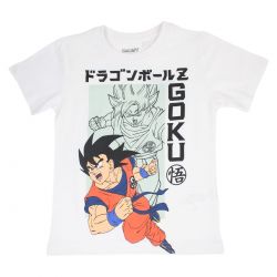 Ensemble Garçon Dragon Ball Z