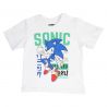 Ensemble Garçon Sonic