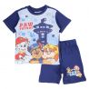 Ensemble Paw Patrol