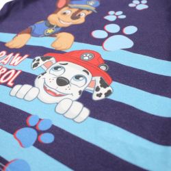 Ensemble Paw Patrol
