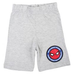 Ensemble Spiderman
