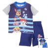 Ensemble Paw Patrol