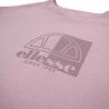 Pack de 2 T-shirts et short cycliste Ellesse