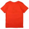 T-shirt dragon ball.