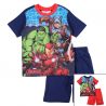 Ensemble Avengers