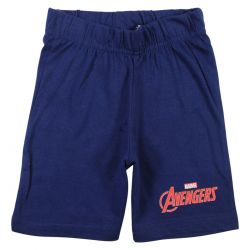 Ensemble Avengers