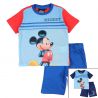 Ensemble Mickey
