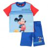 Ensemble Mickey