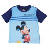 Ensemble Mickey