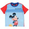 Ensemble Mickey