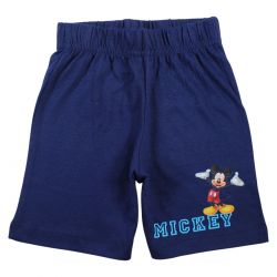 Ensemble Mickey