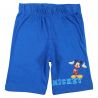 Ensemble Mickey