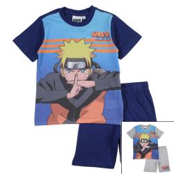 Ensemble Naruto