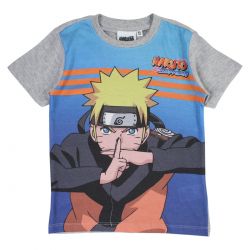 Ensemble Naruto