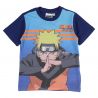 Ensemble Naruto