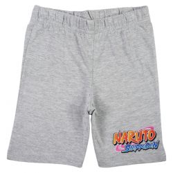 Ensemble Naruto
