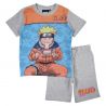 Ensemble Naruto