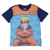 Ensemble Naruto