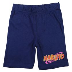 Ensemble Naruto