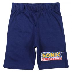 Ensemble Sonic
