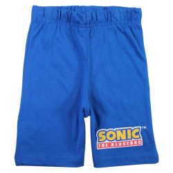 Ensemble Sonic