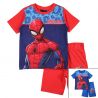 Ensemble Spiderman