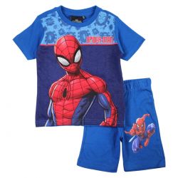Ensemble Spiderman