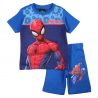 Ensemble Spiderman