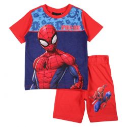Ensemble Spiderman