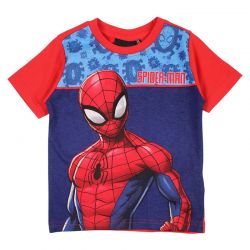 Ensemble Spiderman