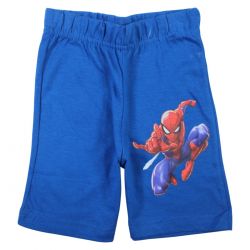 Ensemble Spiderman